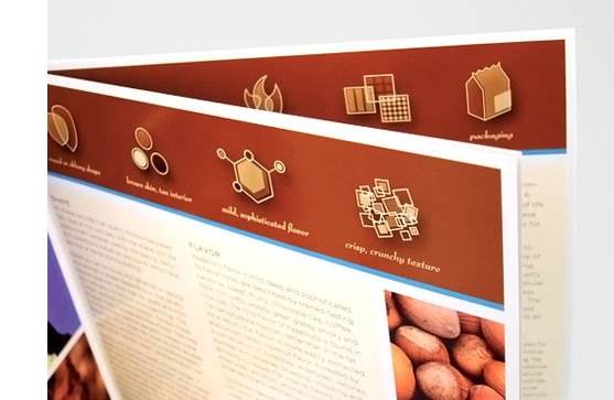 Hazelnut Brochure Detail