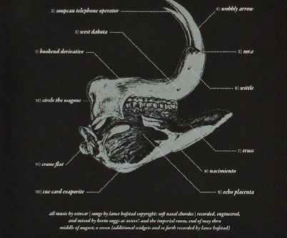 Giraffe Riot CD Folder Interior Detail 1